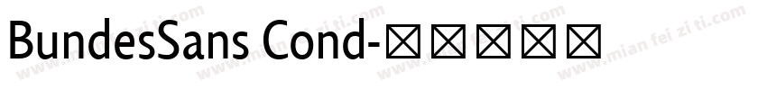 BundesSans Cond字体转换